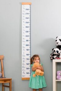 Boy Ölçümleri ve Değerleri İçin Kesin Rehber [2026 Güncel] - Kapak Görseli